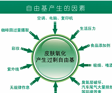 开云体育官网