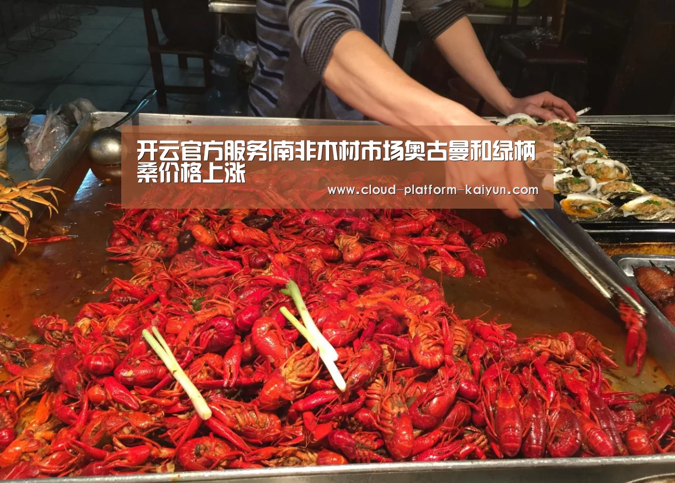 开云体育官方入口
