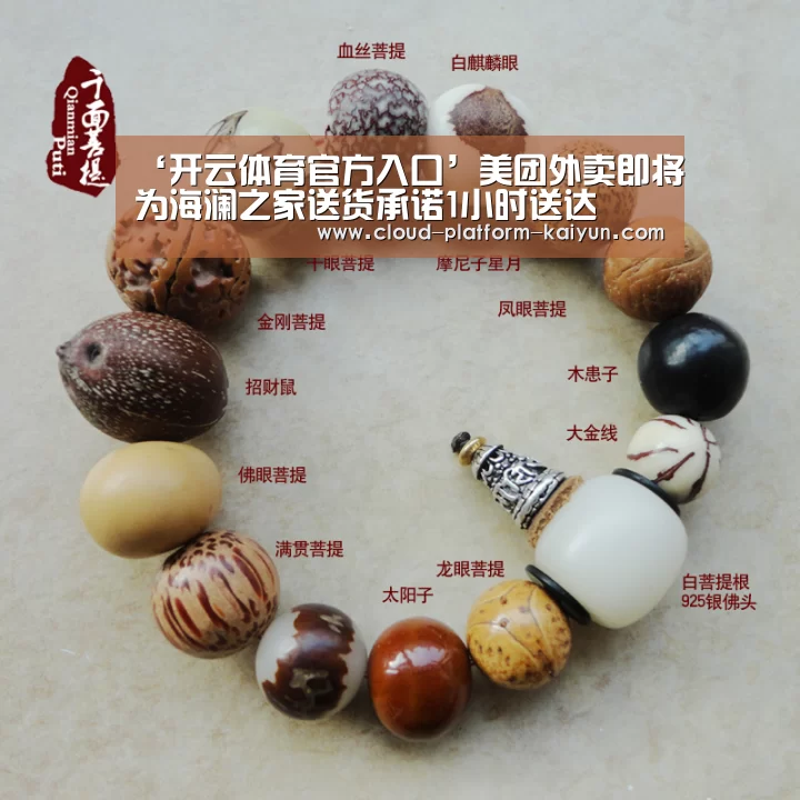 开云体育官方入口