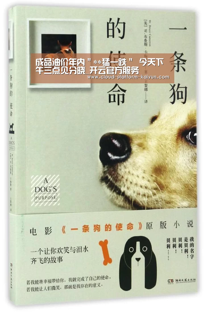 开云官网
