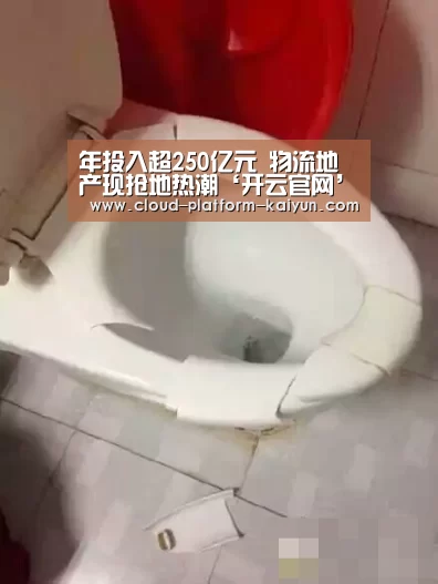 年投入超250亿元 物流地产现抢地热潮‘开云官网’(图2)