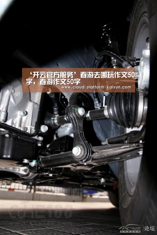 开云体育官方入口