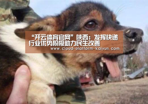 “开云体育官网”陕西：发挥快递行业优势积极助力民生改善
