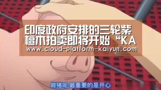 印度政府安排的三轮紫檀木拍卖即将开始“KAIYUN”