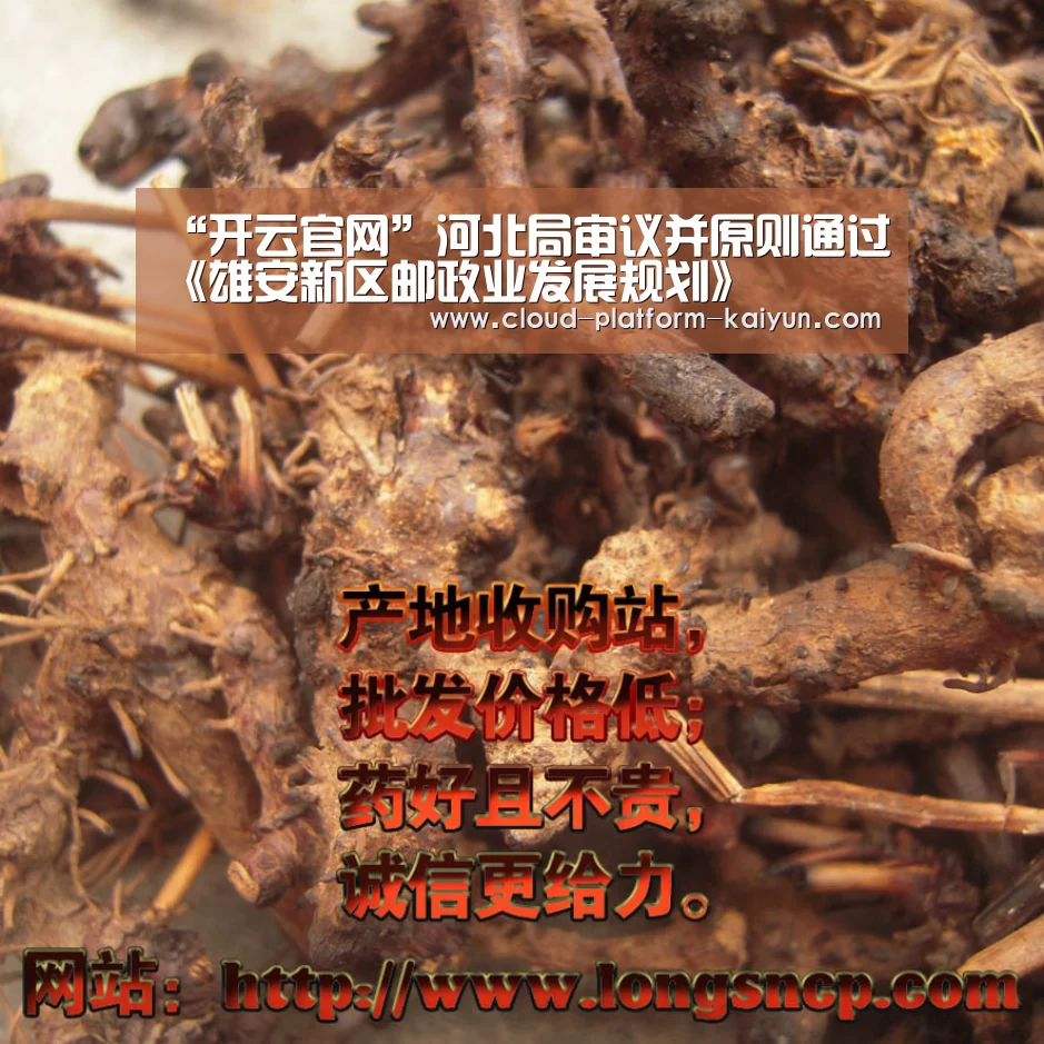 “开云官网”河北局审议并原则通过《雄安新区邮政业发展规划》(图2)