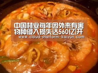 开云体育官方入口