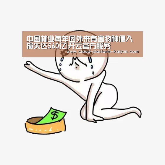 开云官网