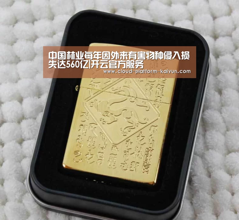 开云官方服务