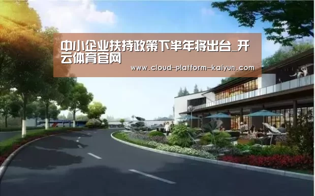 中小企业扶持政策下半年将出台_开云体育官网
