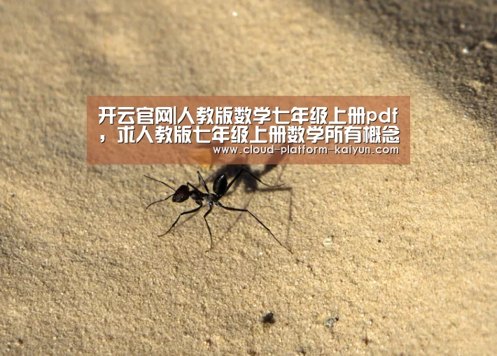 开云官方服务
