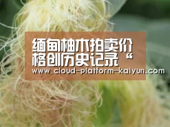 开云官方服务