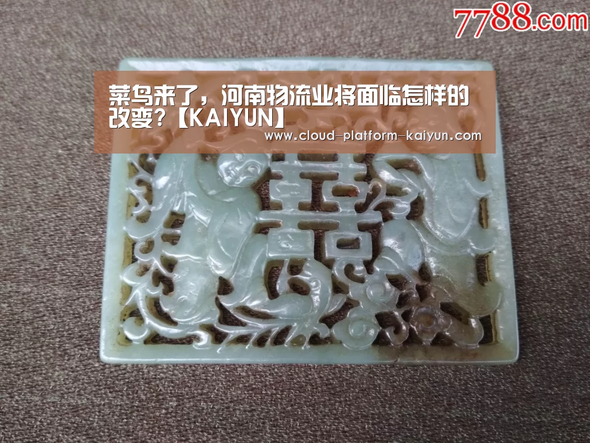 菜鸟来了，河南物流业将面临怎样的改变?【KAIYUN】